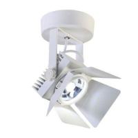 117399b14a6a5235badfdb16731b43f8_jpg