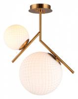 AP_APL.300.07.02_jpg