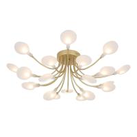 9262b02c9c475ec23eeea9dc23fbb662_jpg