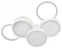 LF_10317_5_White_jpg