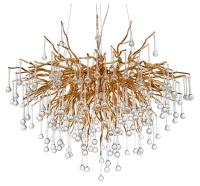 DV_3132_01_SP-10_jpg