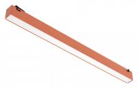 DV_2473_34_SP-20_jpg