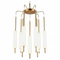 AP_APL.010.03.80_jpg