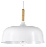 AL_Nicolo_E_1.3.P1_W_jpg