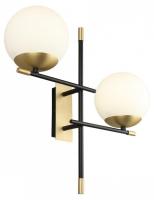 AP_APL.313.11.02_jpg