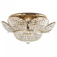 AL_Alassio_E_1.2.50.600_GH_jpg