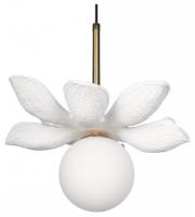 LF_10213_B_White_jpg