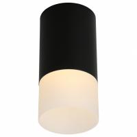 OM_OML-100619-01_jpg