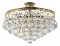 DDA_Dorato_E_1.1.6.200_S_jpg