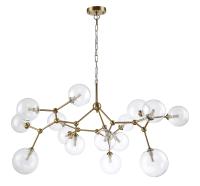 MAXIMO SP15 BRONZE_jpg