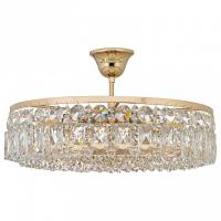 AL_Sara_E_1.3.40.105_G_jpg