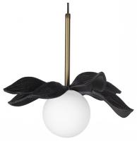 LF_10213_A_Black_jpg