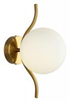 AP_APL.312.11.01_jpg