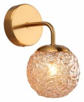 AP_APL.764.01.01_jpg