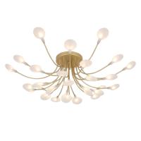 e145052b69012bc3c30b53a2eea1d786_jpg