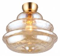 AP_APL.303.17.01_jpg