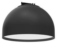 DV_2491_06_SP-10_jpg