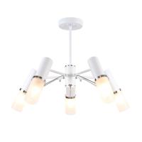 643eea40f1487341fef7f5fcd493afe1_jpg