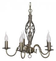 AL_Tortora_E_1.1.5_A_jpg