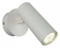 AP_APL.004.01.01_jpg