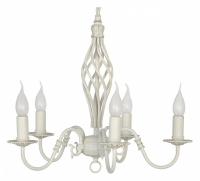 AL_Tortora_E_1.1.5_CG_jpg