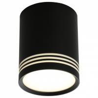 OM_OML-100119-12_jpg