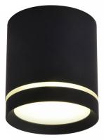 OM_OML-102419-05_jpg