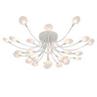 c6d238f2c764a428cad657a5004a5e38_jpg