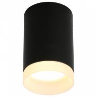 OM_OML-100719-01_jpg