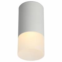 OM_OML-100609-01_jpg