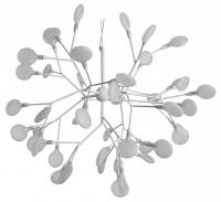 DV_1290_03_SP-27_jpg