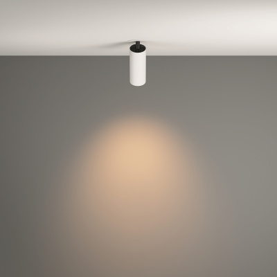 RENDER_Additional_perspective_CMYK_C053CL-L12W3K-W-W_standard